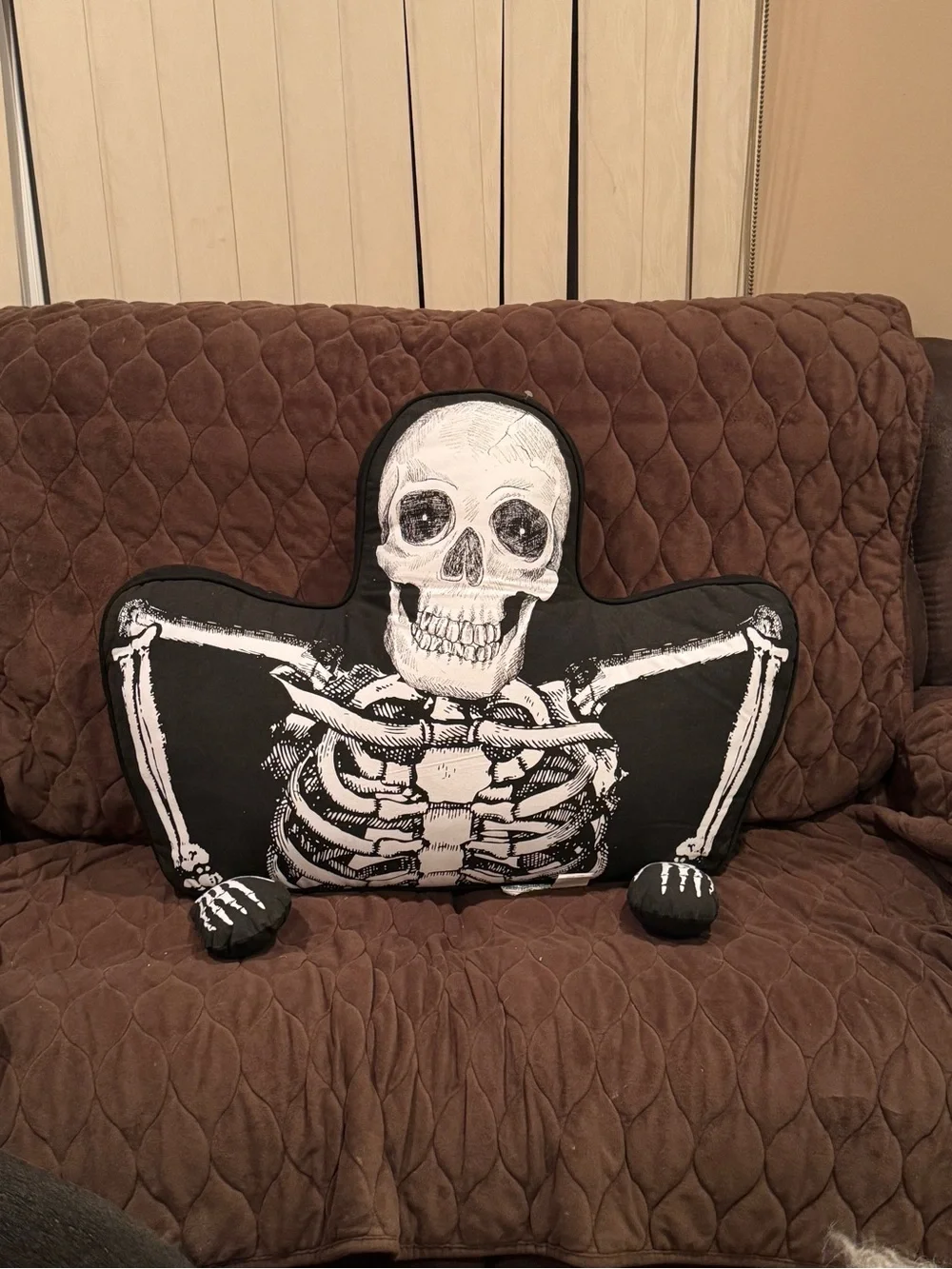 Skeleton Light Up Decorative Pillow